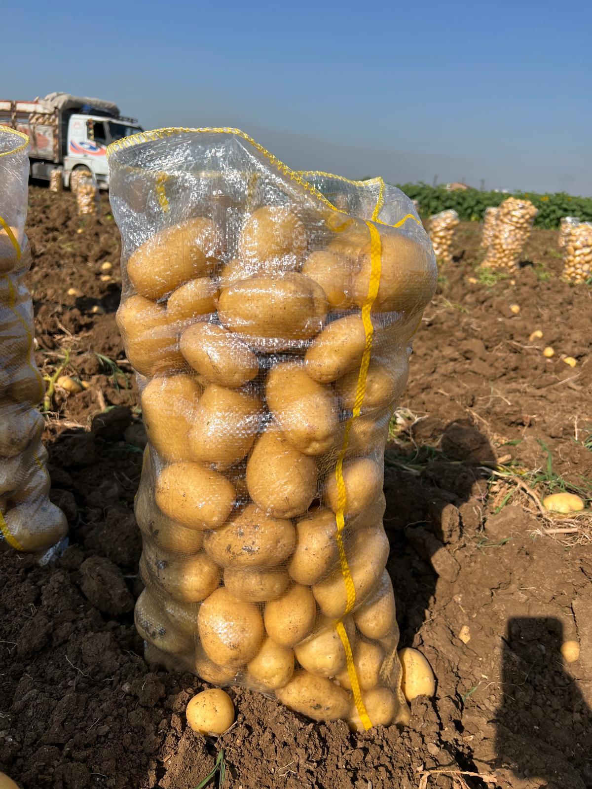 türkiye niğde patates kalite patsoo yaşar ergül tarım ürünleri