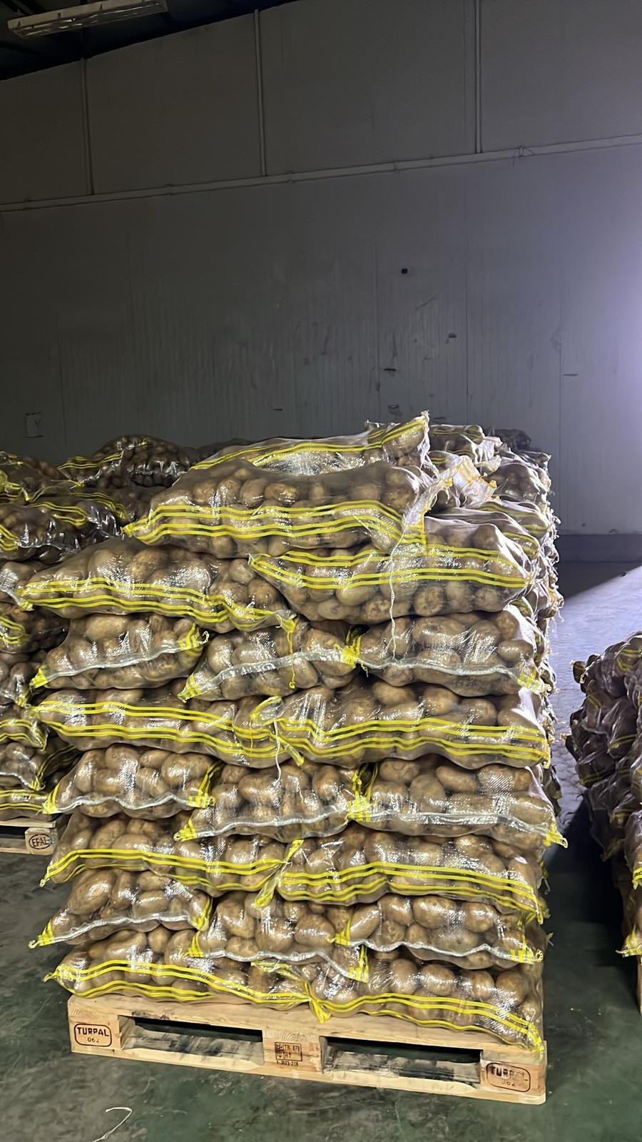türkiye niğde yemeklik patates paketleme