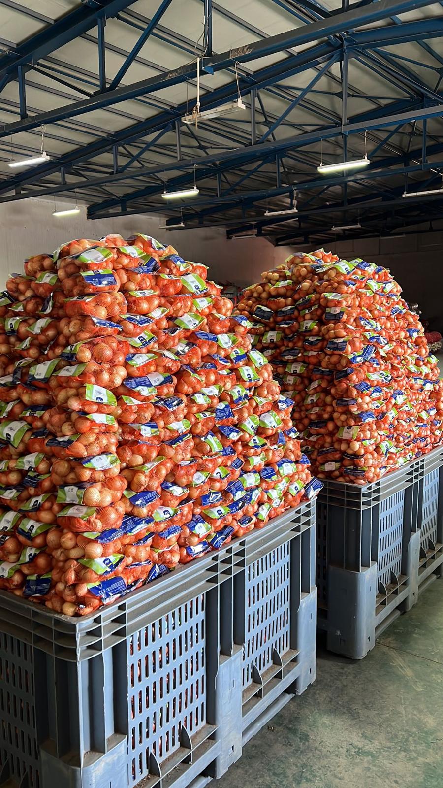 türkiye niğde arpacık soğan soğan paketleme boylama
