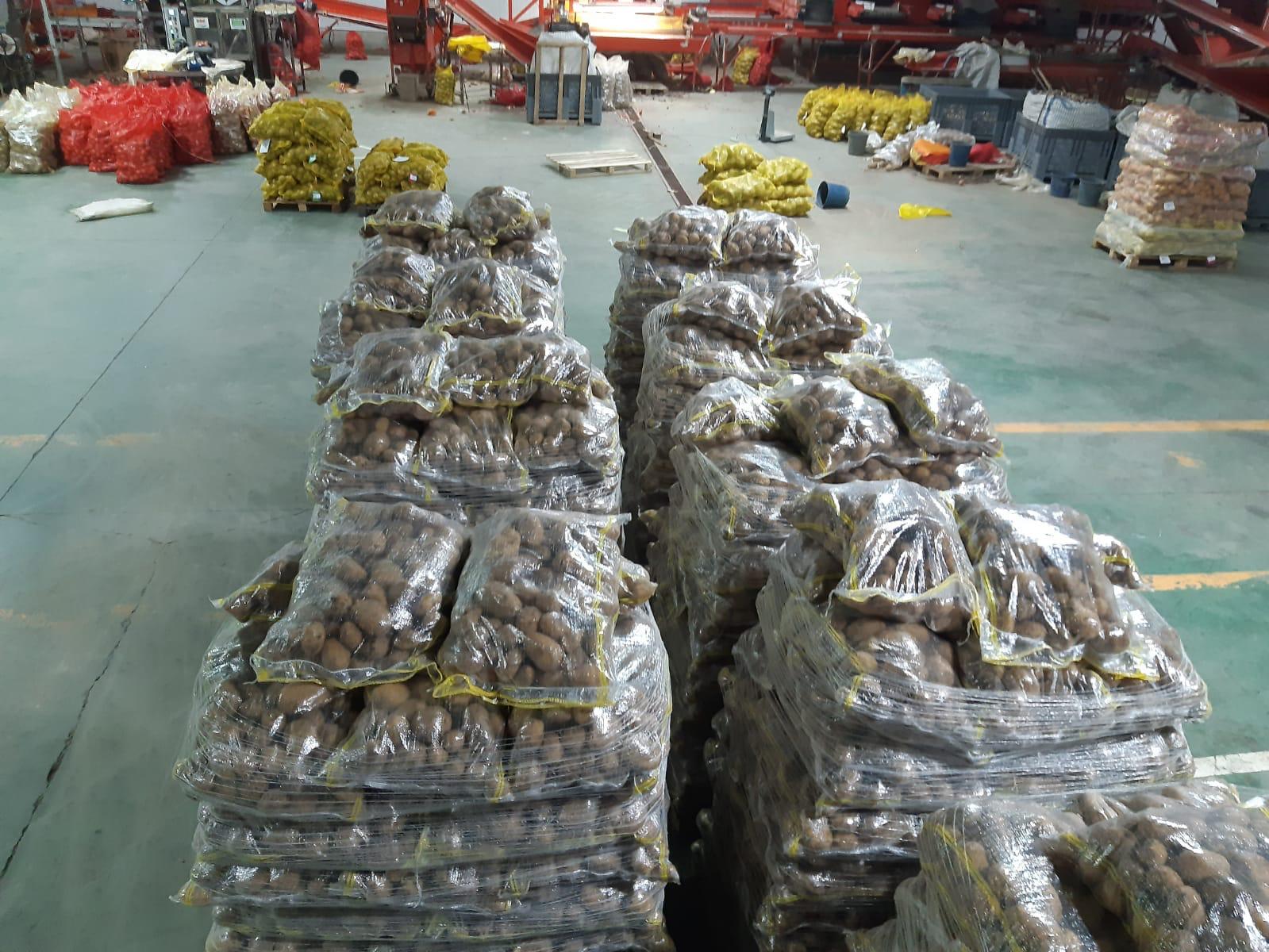 türkiye niğde patates paketleme depolama