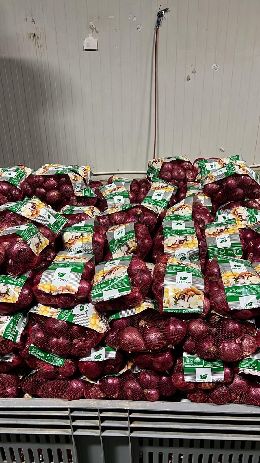 mor soğan paketleme ambalajlama patsoo
